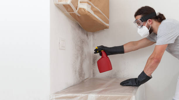 Professional Bathroom Mold Removal technician working in Parkton, MD